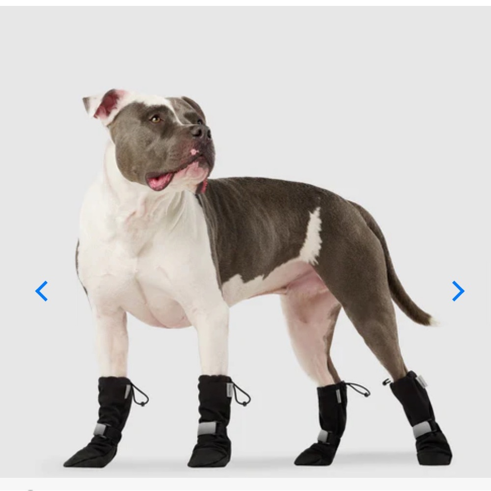 Canada Pooch Black Soft Shield Dog Boots Shoes Pack of 4